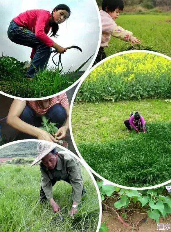 理解需要爸爸播种子的重要性,培养孩子成长的土壤与未来希望 理解需要爸爸播种子的重要性,培养孩子成长的土壤与未来希望