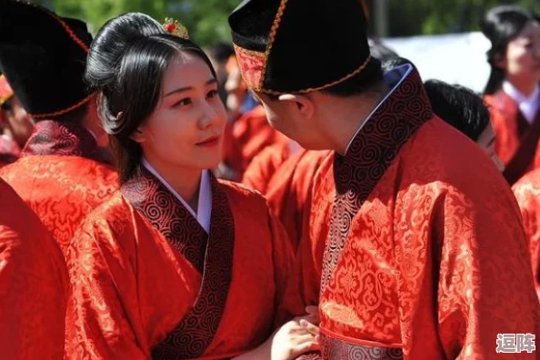 91拔萝卜:探寻传统农耕文化中的乡村生活与人情世故 91拔萝卜:探寻传统农耕文化中的乡村生活与人情世故