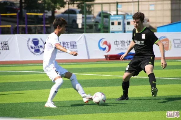 大学篮球体育-自-慰Chinese：探讨在中国大学篮球文化中，如何通过运动释放压力与情感的独特方式