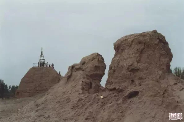 热血江湖中雕与狼的对决：哪个更胜一筹成为你的冒险伙伴？