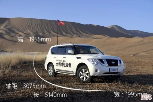 9797www成人影片日产：2024年热门趋势与新兴市场的深度分析与展望