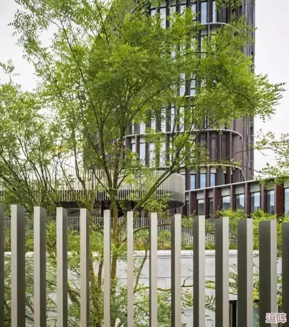 吸小花园的方法：如何通过简单技巧提升家庭绿化效果，打造理想的室内植物空间