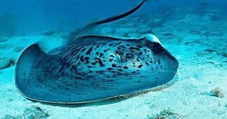 美女喷水"引发网络热议,网友评论刷爆社交媒体,现场视频曝光引人瞩目! 美女喷水"引发网络热议,网友评论刷爆社交媒体,现场视频曝光引人瞩目!