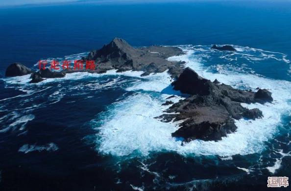 蜃夫人:神秘海妖现身海域,引发全球渔民惊慌,背后隐藏的真相让人瞠目结舌! 蜃夫人:神秘海妖现身海域,引发全球渔民惊慌,背后隐藏的真相让人瞠目结舌!